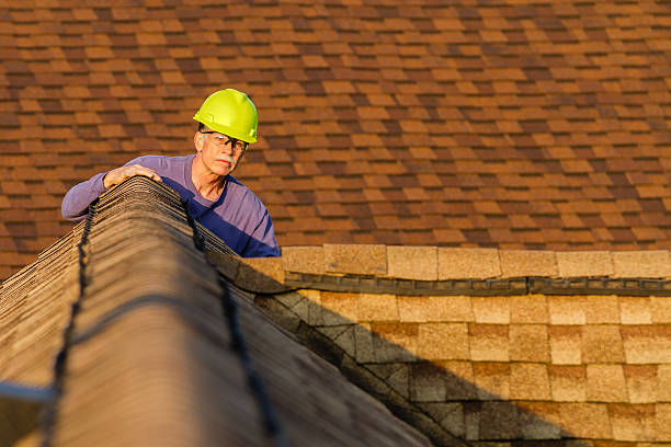 Best Residential Roofing Contractor  in Mayville, ND